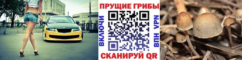 Галлюциногенные грибы GOLDEN TEACHER  Купить закладки  Анапа 